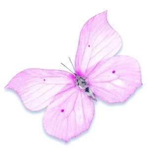 Meet your Posher, Kylie